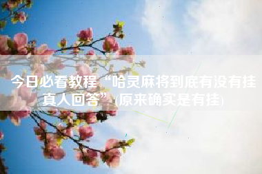 今日必看教程“哈灵麻将到底有没有挂真人回答”(原来确实是有挂)