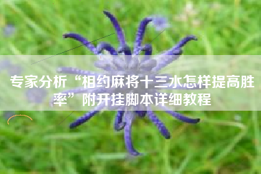 专家分析“相约麻将十三水怎样提高胜率	”附开挂脚本详细教程