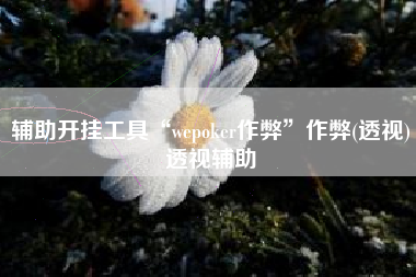 辅助开挂工具“wepoker作弊”作弊(透视)透视辅助