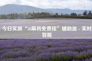今日实测“58麻将免费挂”辅助器 - 实时智能