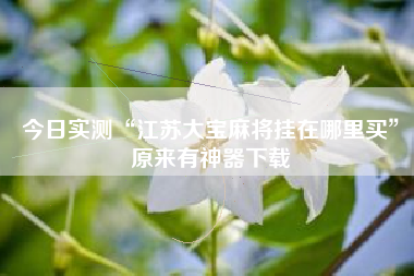 今日实测“江苏大宝麻将挂在哪里买”原来有神器下载