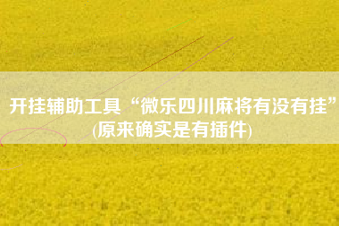 开挂辅助工具“微乐四川麻将有没有挂”(原来确实是有插件)