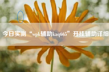 今日实测“wpk辅助kaq665”开挂辅助详细