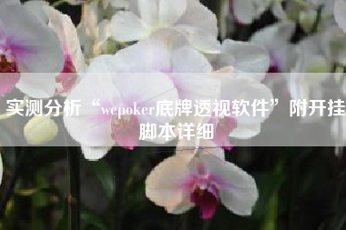 实测分析“wepoker底牌透视软件”附开挂脚本详细