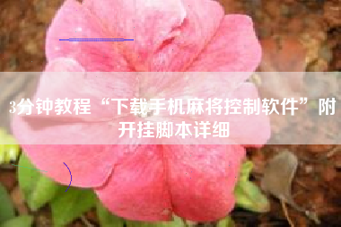 3分钟教程“下载手机麻将控制软件	”附开挂脚本详细