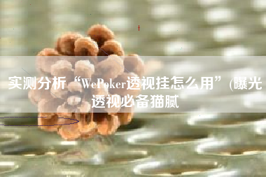 实测分析“WePoker透视挂怎么用	”(曝光透视必备猫腻