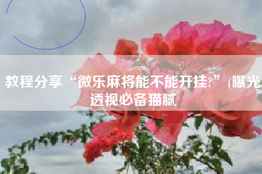 教程分享“微乐麻将能不能开挂?”(曝光透视必备猫腻