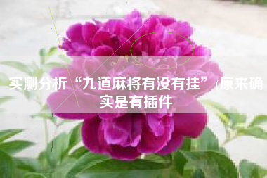 实测分析“九道麻将有没有挂	”(原来确实是有插件