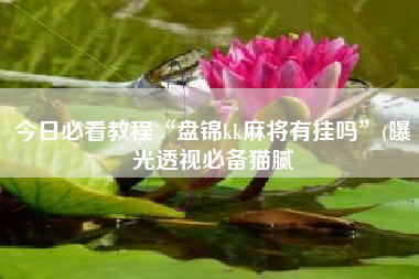 今日必看教程“盘锦kk麻将有挂吗”(曝光透视必备猫腻