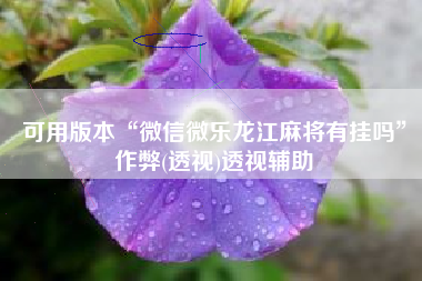 可用版本“微信微乐龙江麻将有挂吗”作弊(透视)透视辅助