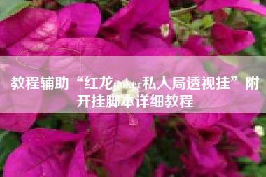 教程辅助“红龙poker私人局透视挂”附开挂脚本详细教程
