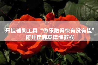 开挂辅助工具“微乐跑得快有没有挂”附开挂脚本详细教程