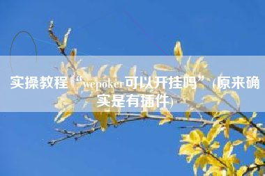 实操教程“wepoker可以开挂吗	”(原来确实是有插件)