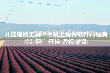开挂辅助工具“手机上麻将软件背后有控制吗”开挂(透视)辅助