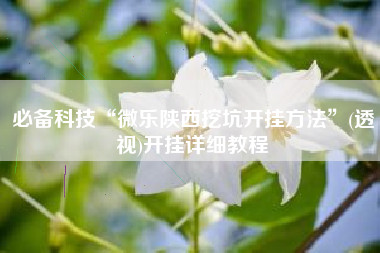 必备科技“微乐陕西挖坑开挂方法	”(透视)开挂详细教程