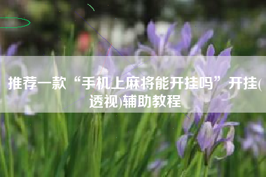 推荐一款“手机上麻将能开挂吗”开挂(透视)辅助教程