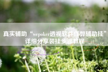真实辅助“wepoker透视软件作弊辅助挂”详细分享装挂步骤教程