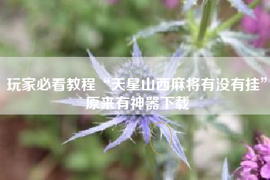 玩家必看教程“天星山西麻将有没有挂	”原来有神器下载