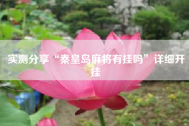 实测分享“秦皇岛麻将有挂吗”详细开挂