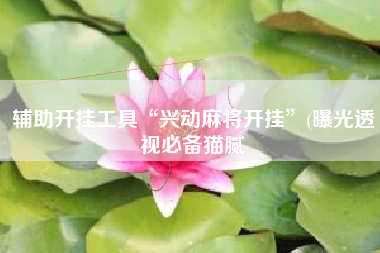 辅助开挂工具“兴动麻将开挂”(曝光透视必备猫腻