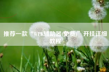 推荐一款“WPK辅助器(免费)”开挂详细教程