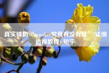 真实辅助“wepoker究竟有没有挂”(详细透视教程)-知乎