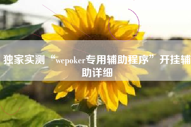 独家实测“wepoker专用辅助程序	”开挂辅助详细