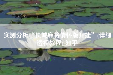 实测分析“长城麻将情怀版开挂	”(详细透视教程)-知乎