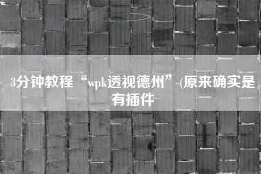 3分钟教程“wpk透视德州”(原来确实是有插件