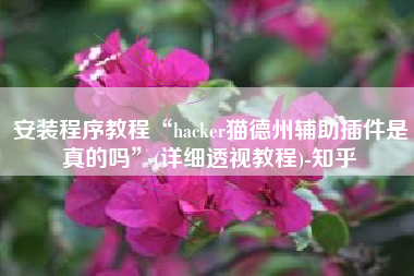 安装程序教程“hacker猫德州辅助插件是真的吗”(详细透视教程)-知乎