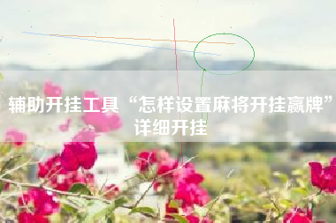 辅助开挂工具“怎样设置麻将开挂赢牌”详细开挂