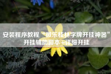 安装程序教程“微乐桂林字牌开挂神器”开挂辅助脚本+详细开挂