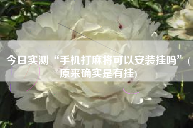 今日实测“手机打麻将可以安装挂吗”(原来确实是有挂)