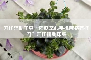 开挂辅助工具“网跃掌心手机麻将有挂吗”开挂辅助详细