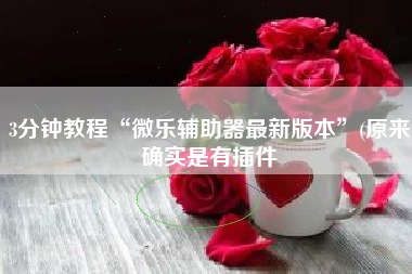 3分钟教程“微乐辅助器最新版本	”(原来确实是有插件