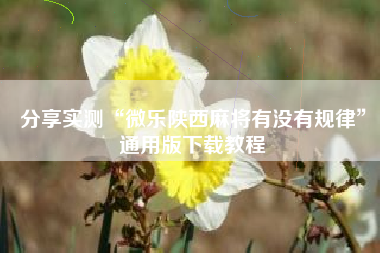 分享实测“微乐陕西麻将有没有规律”通用版下载教程