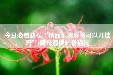 今日必看教程“精品乐清麻将可以开挂吗”(曝光透视必备猫腻