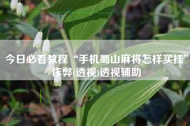 今日必看教程“手机蜀山麻将怎样买挂	”作弊(透视)透视辅助