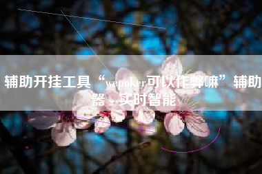 辅助开挂工具“wepoker可以作弊嘛”辅助器 - 实时智能
