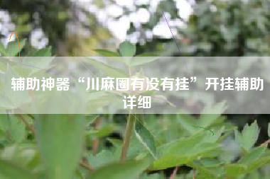 辅助神器“川麻圈有没有挂”开挂辅助详细