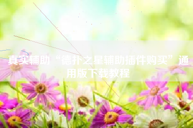 真实辅助“德扑之星辅助插件购买”通用版下载教程