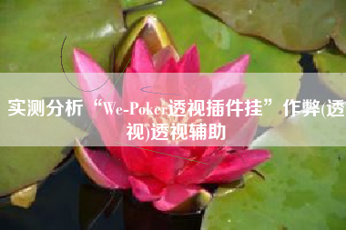 实测分析“We-Poker透视插件挂”作弊(透视)透视辅助