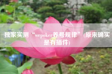 独家实测“wepoker养号规律”(原来确实是有插件)
