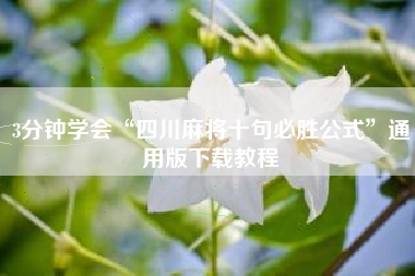 3分钟学会“四川麻将十句必胜公式”通用版下载教程