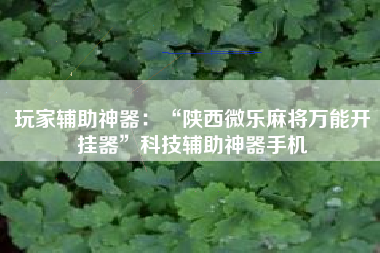 玩家辅助神器：“陕西微乐麻将万能开挂器”科技辅助神器手机