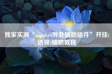 独家实测“aapoker外卦辅助插件”开挂(透视)辅助教程