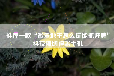 推荐一款“微乐地主怎么玩能抓好牌”科技辅助神器手机