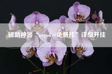 辅助神器“wepoker免费挂	”详细开挂