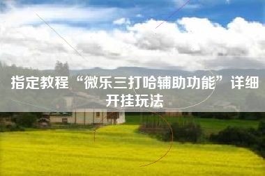 指定教程“微乐三打哈辅助功能”详细开挂玩法