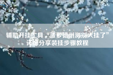 辅助开挂工具“菠萝德州测别人挂了”详细分享装挂步骤教程